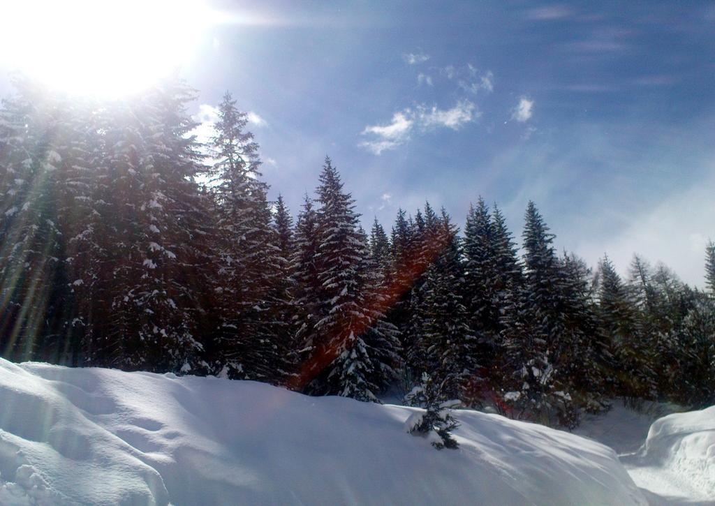 Alpenhaeuser Marcius Sonnenalpe Nassfeld Zewnętrze zdjęcie