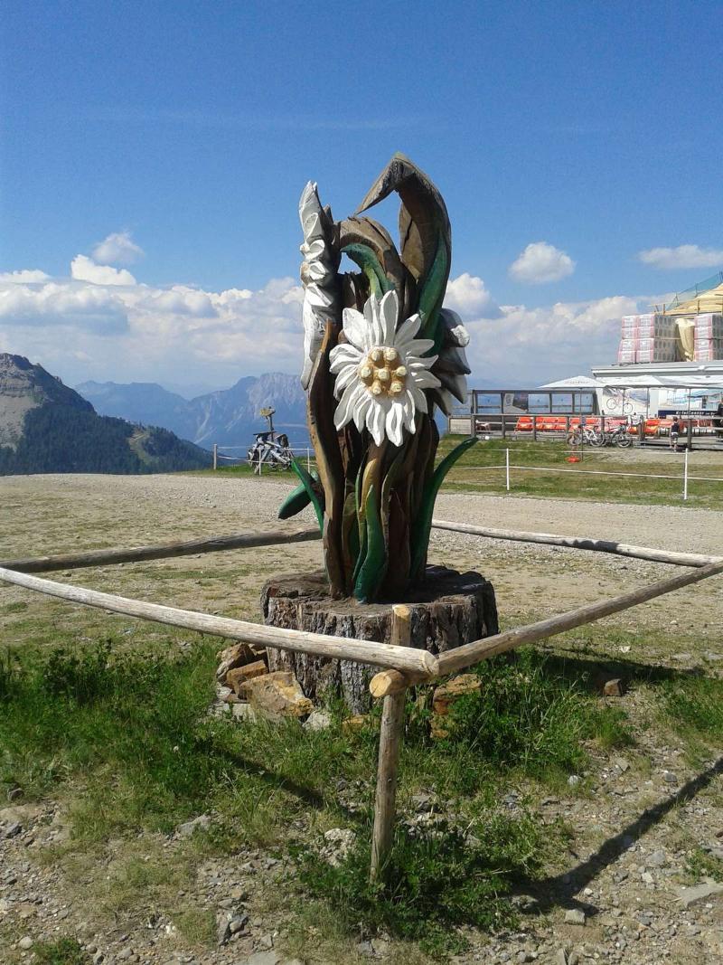 Alpenhaeuser Marcius Sonnenalpe Nassfeld Zewnętrze zdjęcie